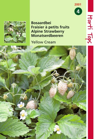 Wald-Erdbeere Yellow Cream (Fragaria) 850 Samen HT